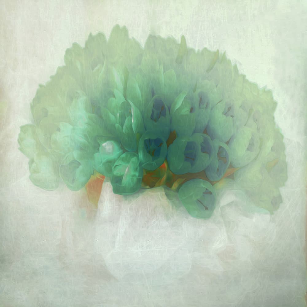 Dreamy Green Bouquet by Gilbert Claes — canvas wall art