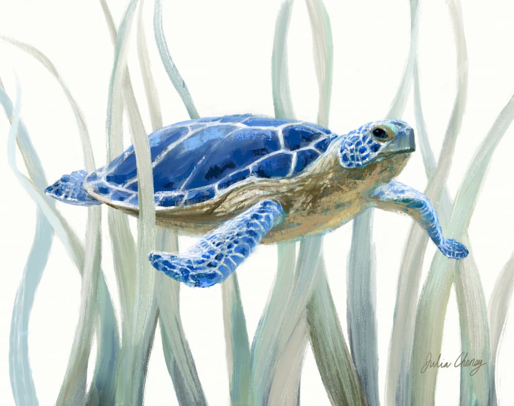 Sea Turtle by Julia Cheney — canvas wall art