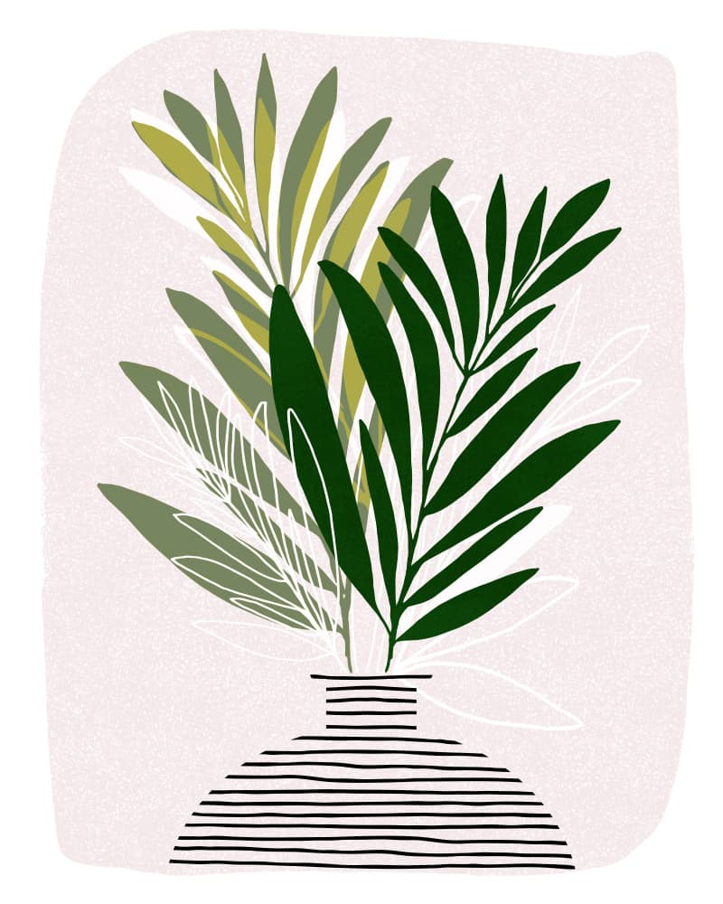 Olive Branches by Kristian Gallagher — canvas wall art