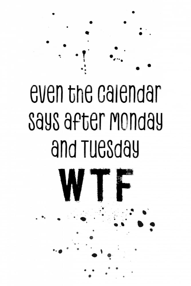 WTF Calendar Says by Melanie Viola — canvas wall art