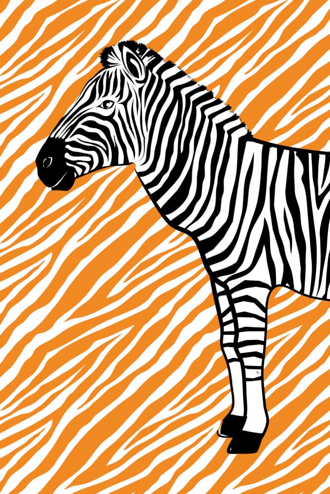 Bold Zebra Pattern by Martina — canvas wall art