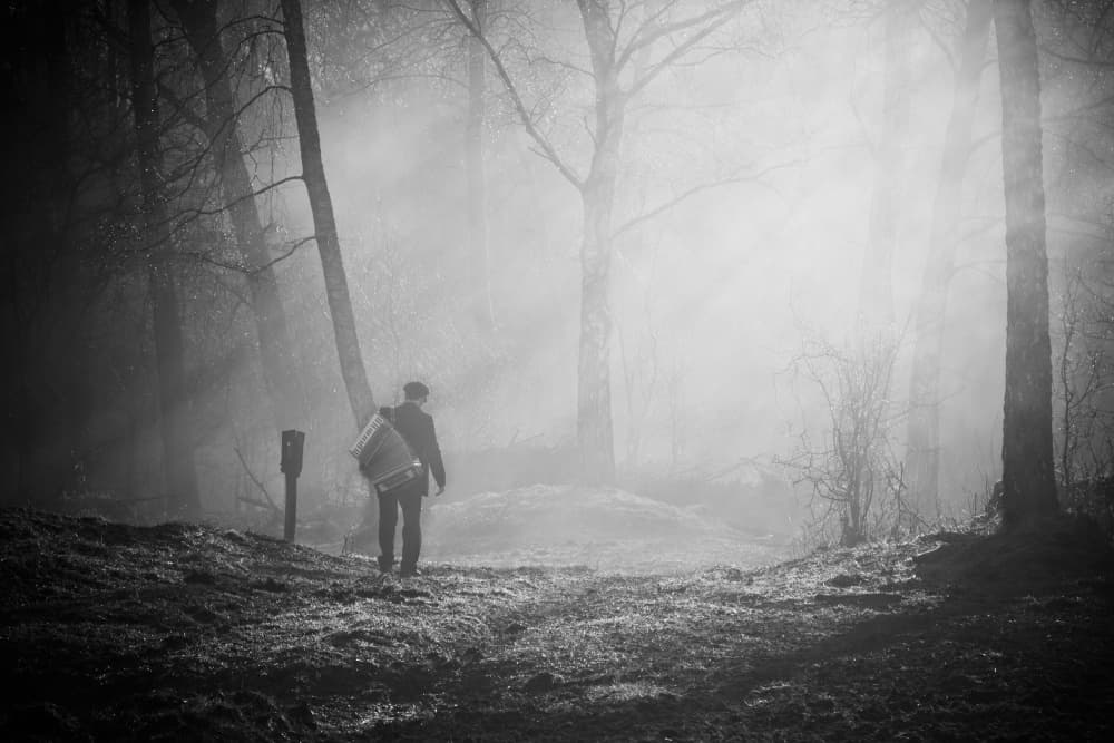 Solitary Forest Journey by Leszek Paradowski — canvas wall art