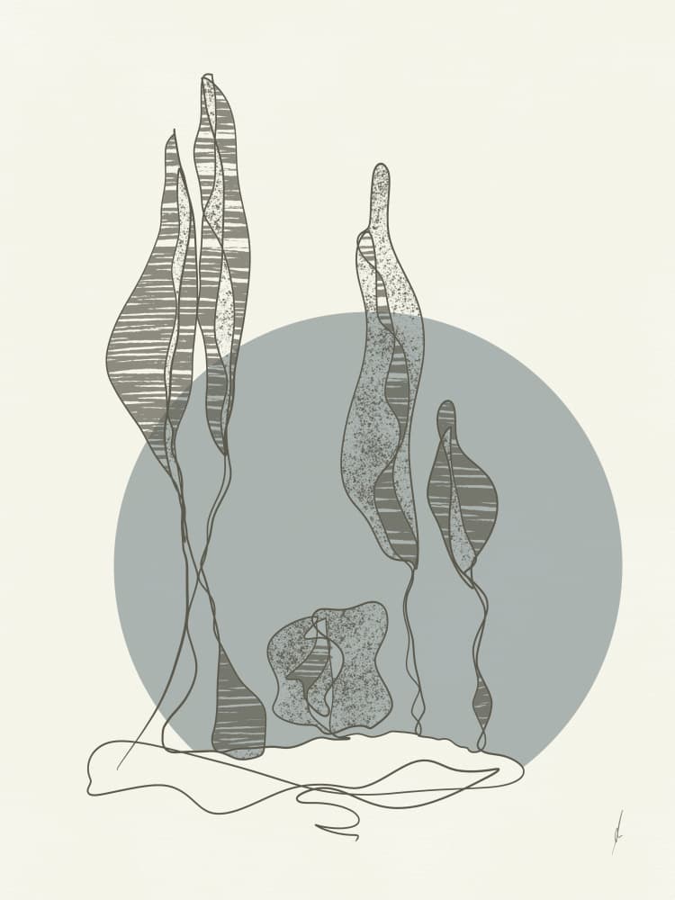 Serene Ocean Plants by Ankie Kooi — canvas wall art