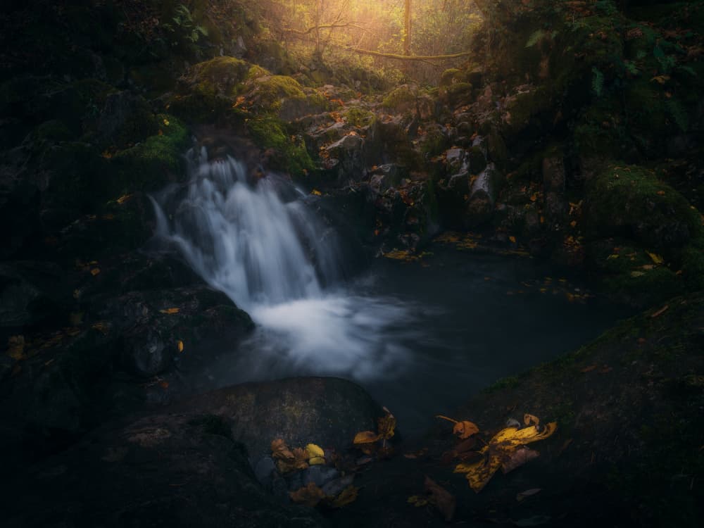 Glowing Forest Stream by Thomas de Franzoni — canvas wall art