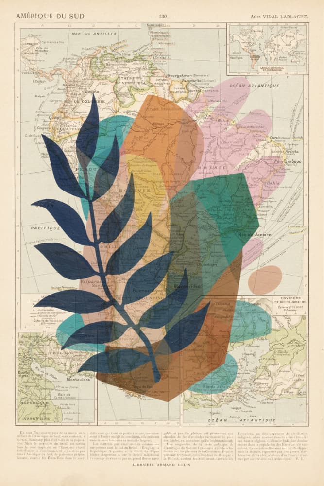 Abstract Botanical Map by thomas chedeville — canvas wall art