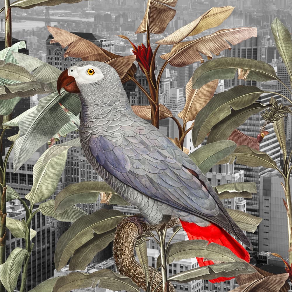 Urban Jungle Parrot by Marja van den Hurk — canvas wall art