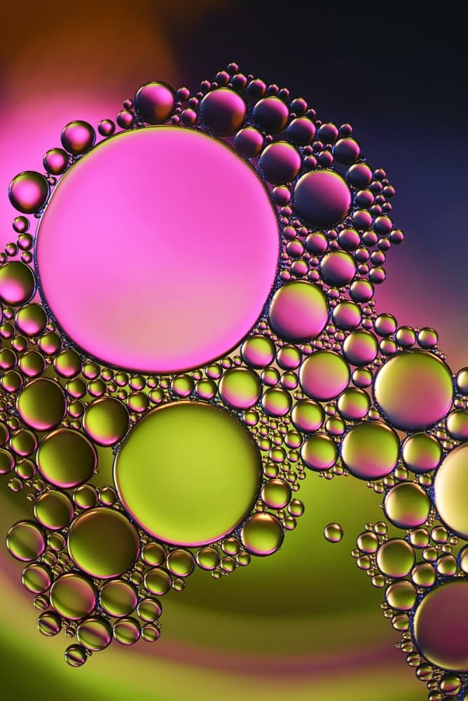 Vibrant Liquid Circles by Heidi Westum — canvas wall art