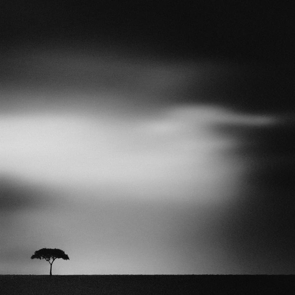 Lone Tree Horizon by Piet Flour — canvas wall art