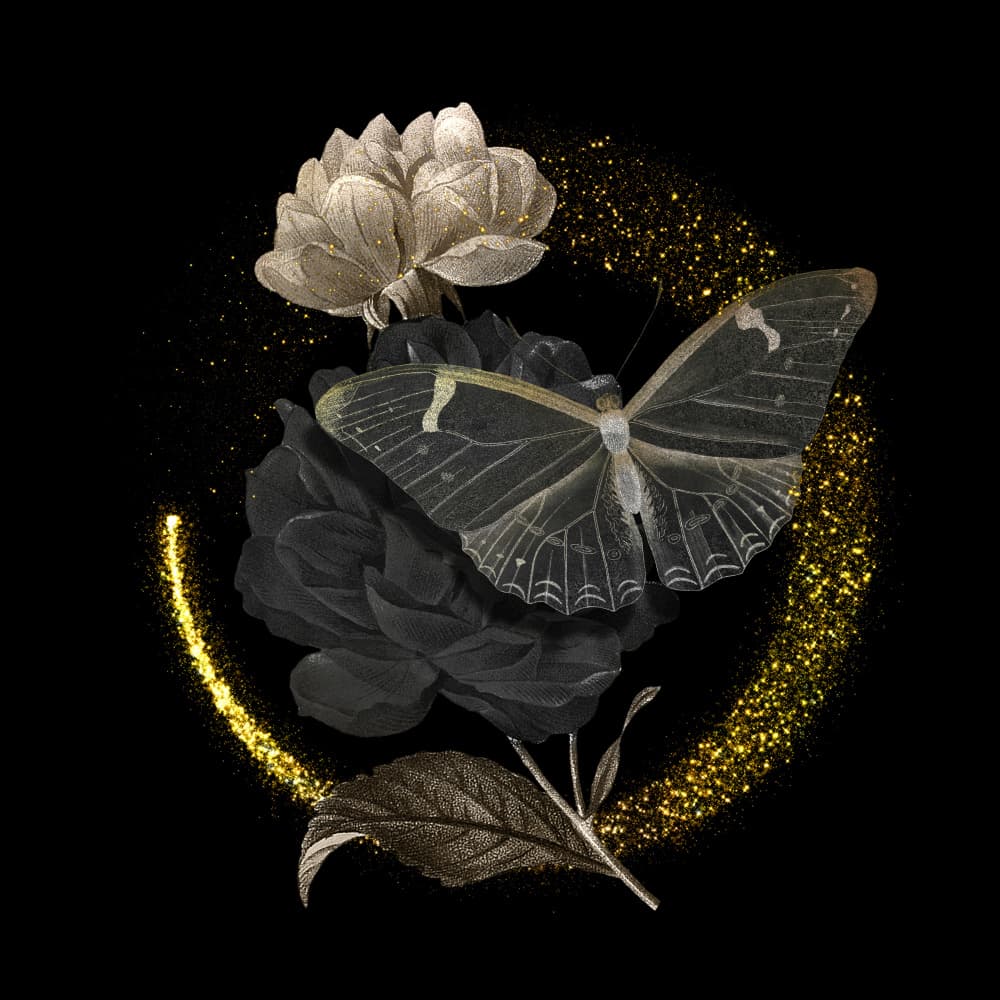 Sparkling Dark Rose Butterfly by Marja van den Hurk — canvas wall art