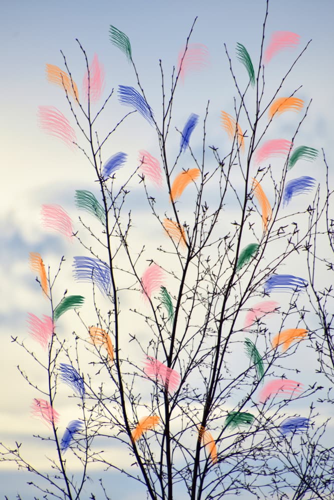 Colorful Spring Branches by Christina Sillen — canvas wall art