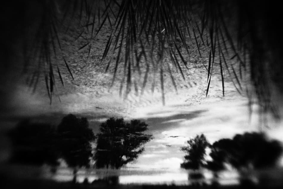 Dreamy Lakeside Reflection by Codrin Lupei — canvas wall art