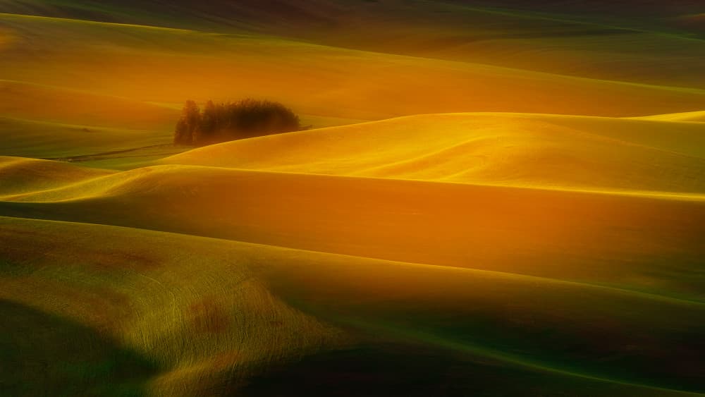Sunlit Rolling Hills by James Lu — canvas wall art