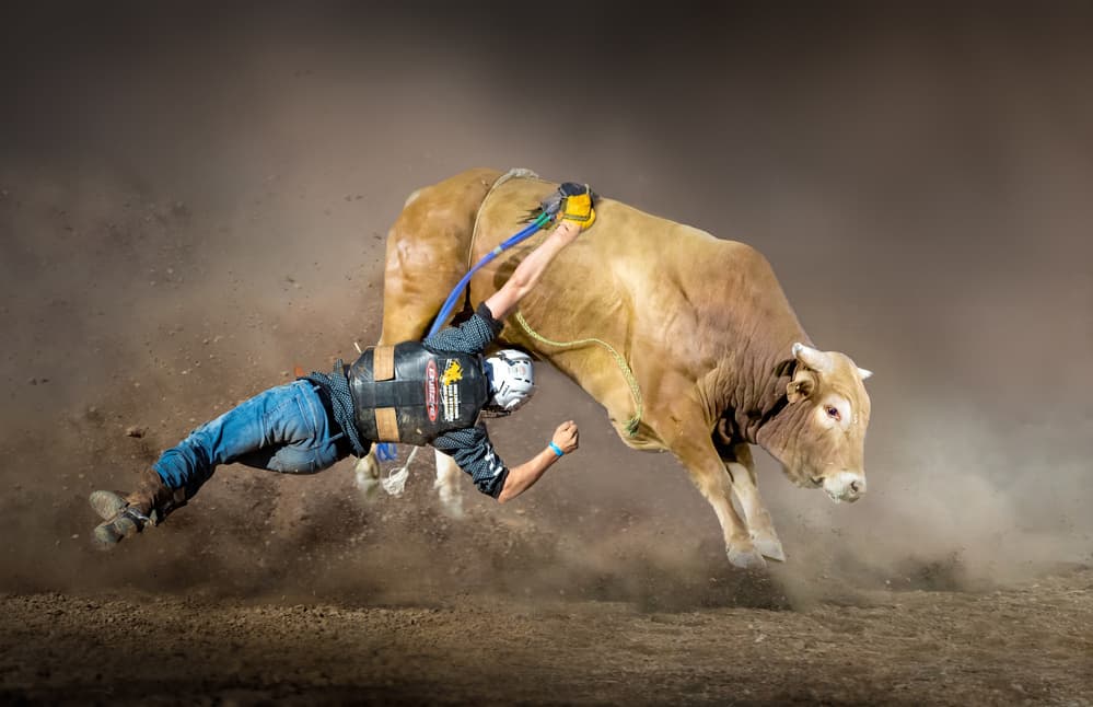 Extreme Rodeo Ride by Irene Wu — canvas wall art
