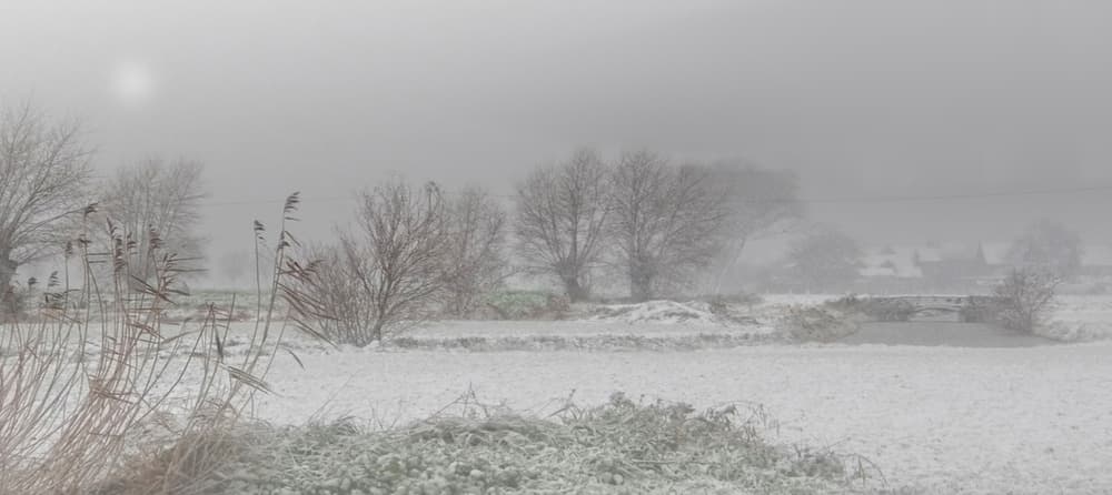 Misty Winter Landscape by Yvette Depaepe — canvas wall art