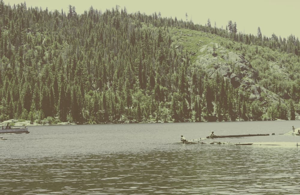 Historic Forest Log Transport by Gemma Bardot — canvas wall art