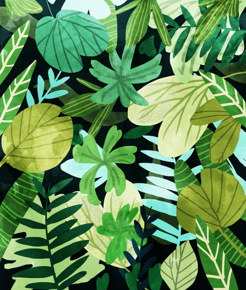 Lush Tropical Leaves by Uma Gokhale — canvas wall art