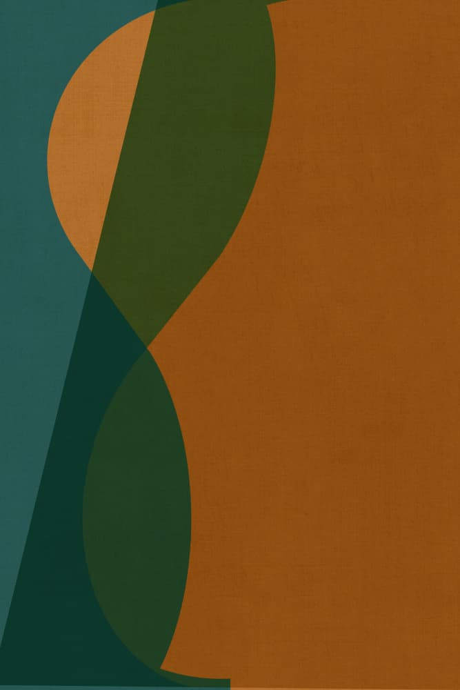 Curved Color Forms by cartissi — canvas wall art