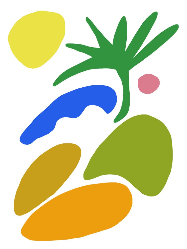 Vibrant Organic Shapes by Bronwyn Baker — canvas wall art