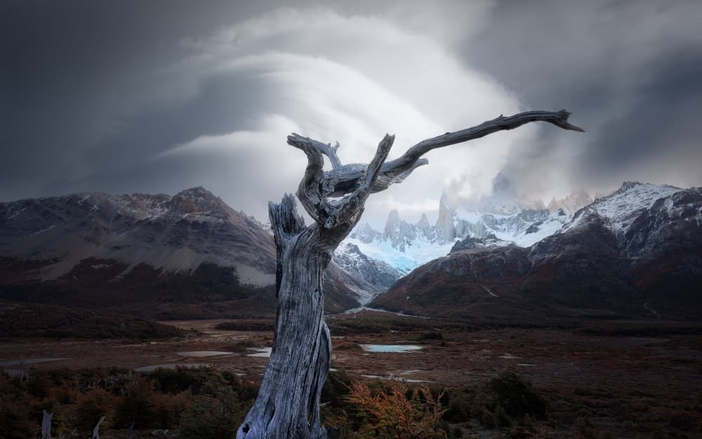 Stark Tree Mountain Peaks by YANGYING — canvas wall art