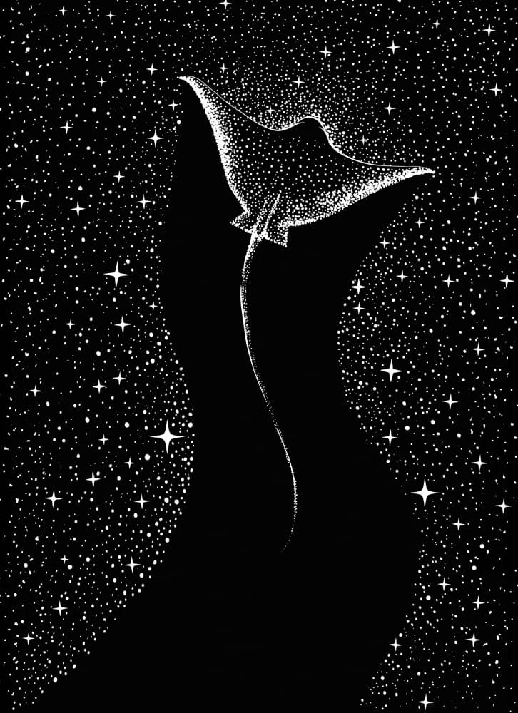 Cosmic Manta Ray by Alirıza ÇAKIR — canvas wall art