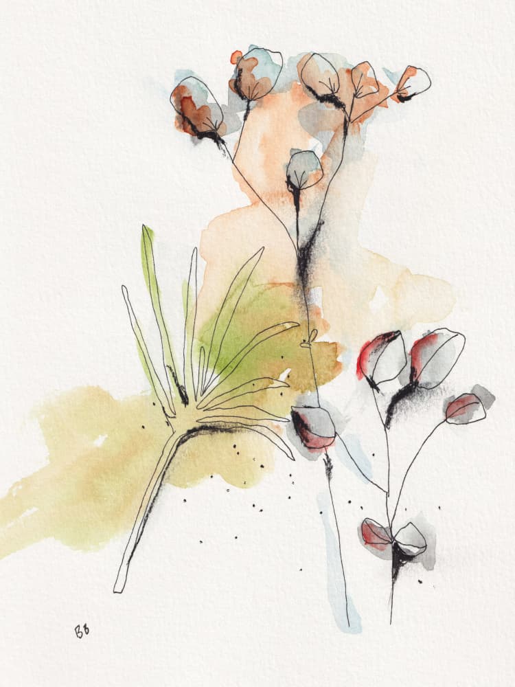 Modern Botanical Study by Bronwyn Baker — canvas wall art