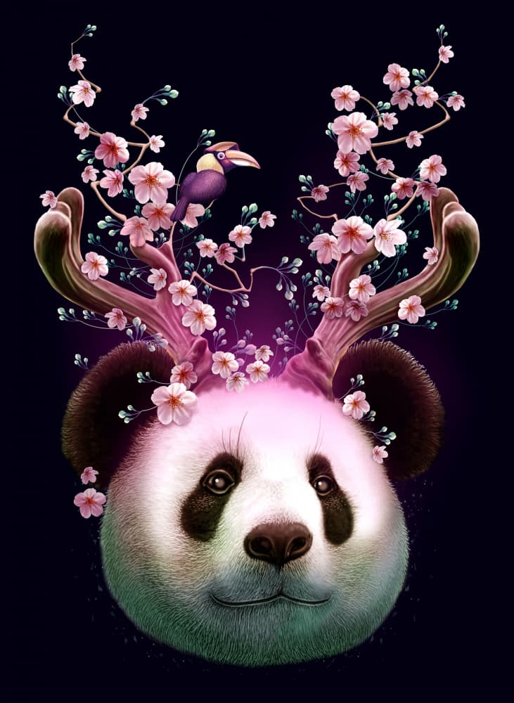 Whimsical Panda Blossoms by Adam Lawless — canvas wall art