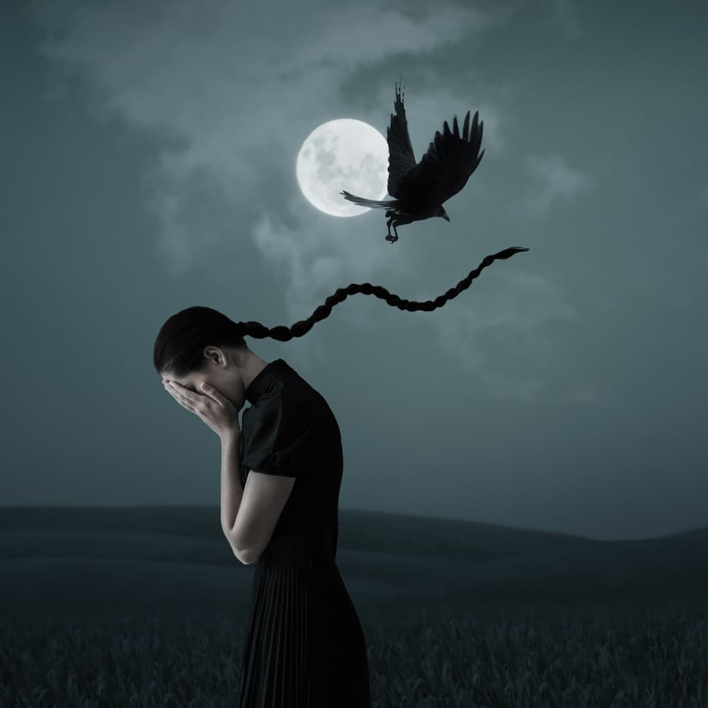 Moonlit Sorrow and Crow by hardibudi — canvas wall art