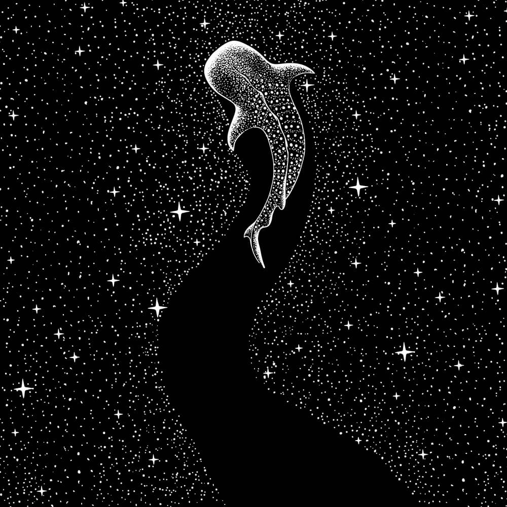 Starry Whale Shark Journey by Alirıza ÇAKIR — canvas wall art