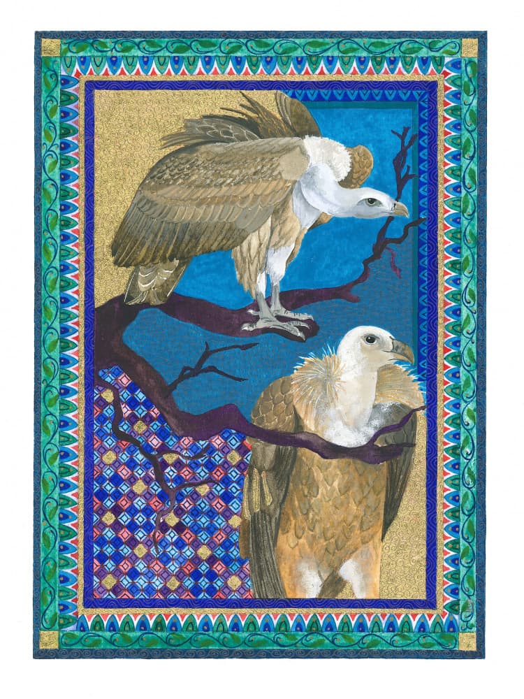 Griffon Vultures by Isabelle Brent — canvas wall art