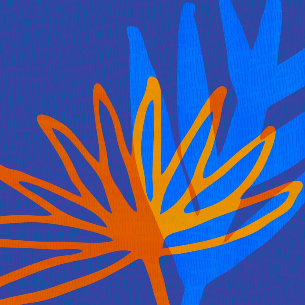 Bright Lights by Kristian Gallagher — canvas wall art
