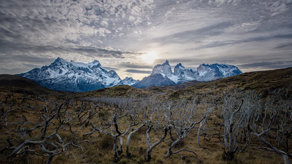 Wild Patagonia Peaks by April Xie — canvas wall art