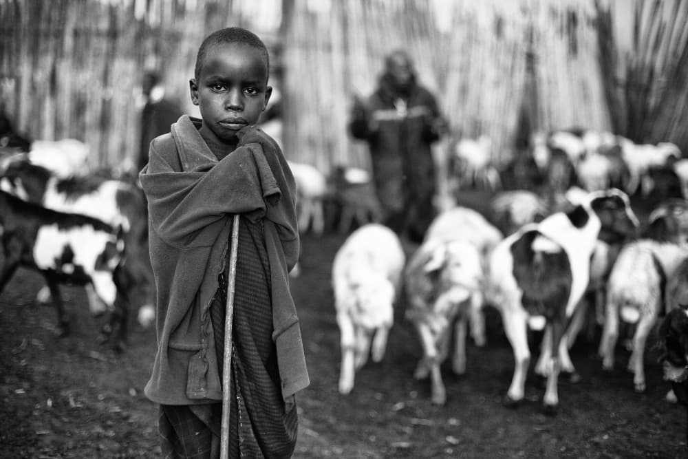 Young African Shepherd by Goran Jovic — canvas wall art