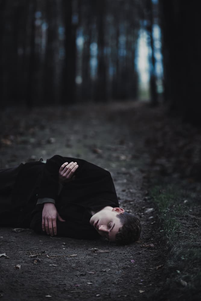 Fallen Boy Forest Path by Magdalena Russocka — canvas wall art