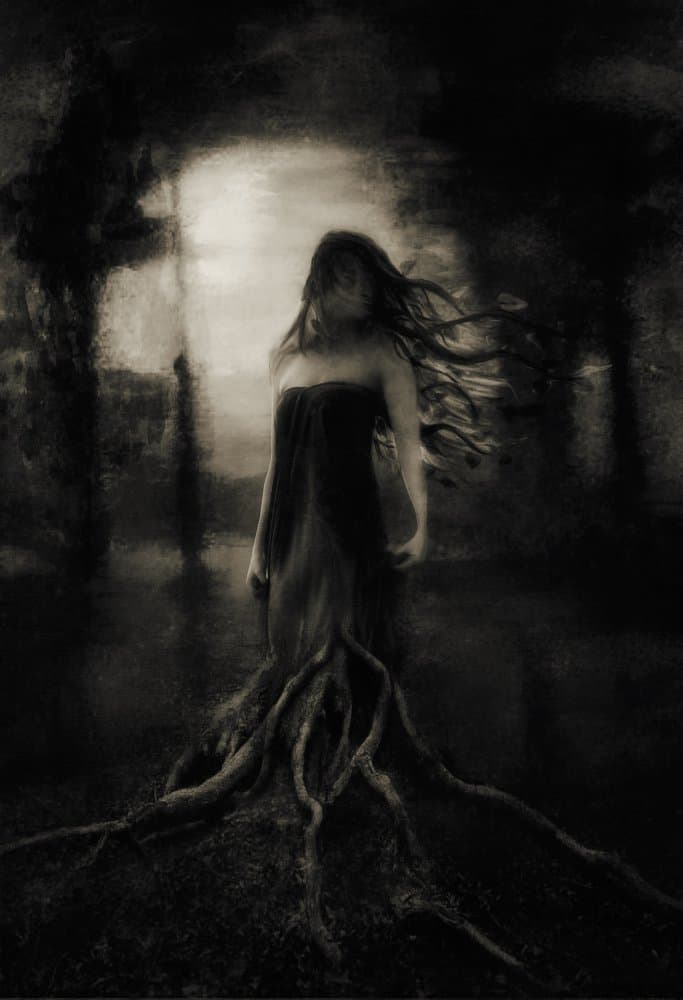 Rooted Forest Spirit by Charlaine Gerber — canvas wall art
