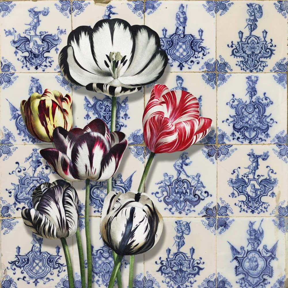 Variegated Tulips on Tiles by Marja van den Hurk — canvas wall art