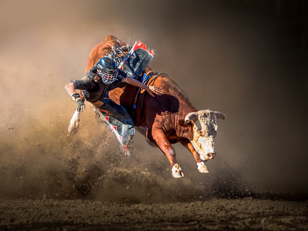 Bucking Bull Rider by Irene Wu — canvas wall art
