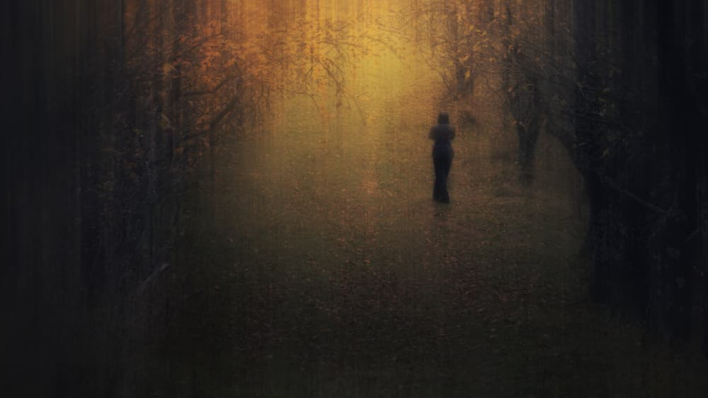 Misty Forest Figure by Haim Rosenfeld — canvas wall art