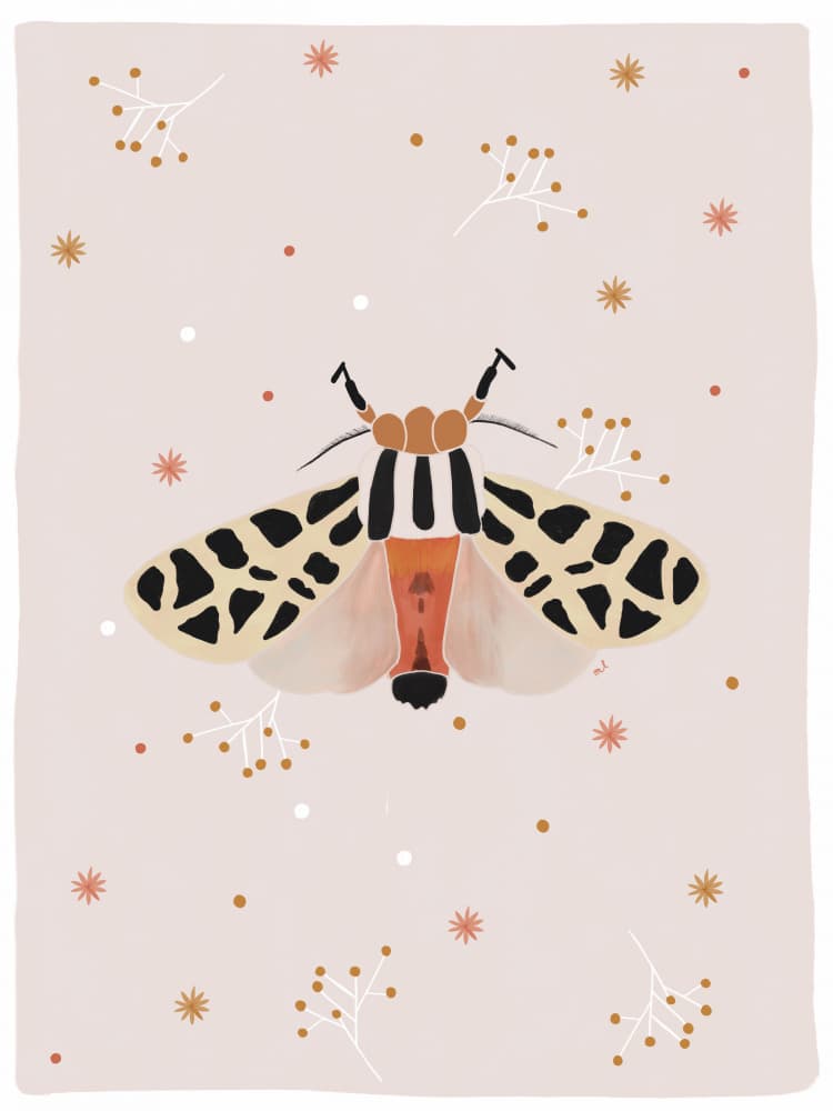 Whimsical Moth Garden by Menina Lisboa — canvas wall art