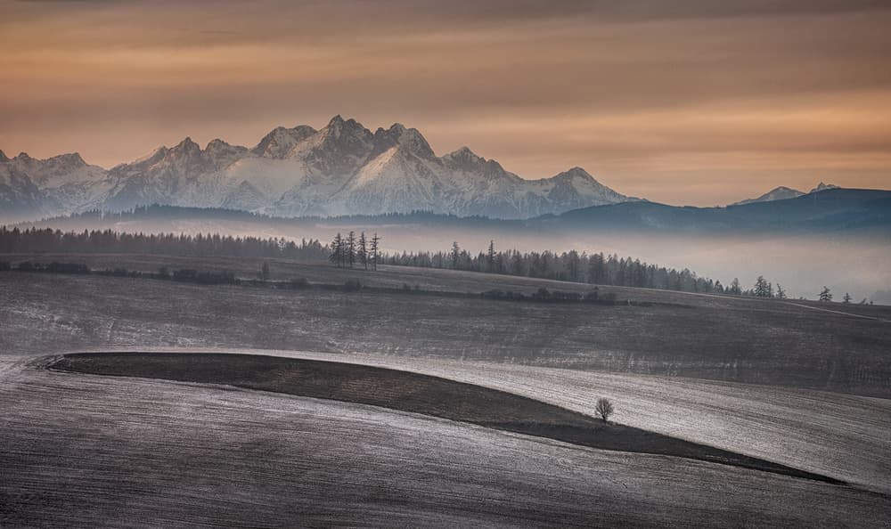 Misty Winter Mountains by Peter Svoboda MQEP — canvas wall art
