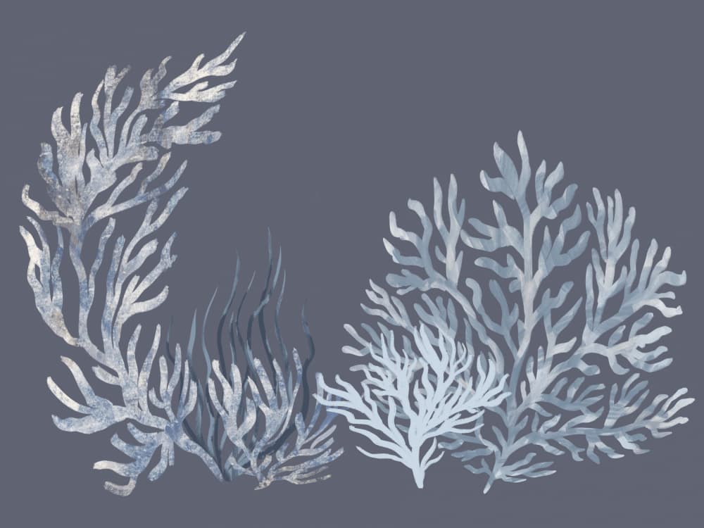 Underwater Blue Coral by Aliya Putrus — canvas wall art