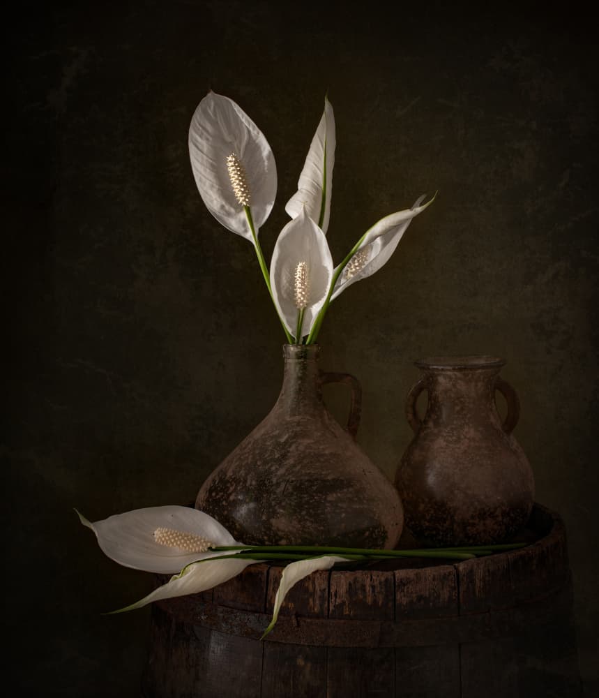 Moody Peace Lilies by Margareth Perfoncio — canvas wall art