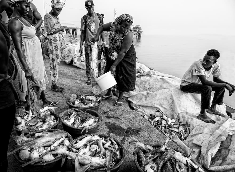 Waterfront Fish Market by Elena Molina — canvas wall art