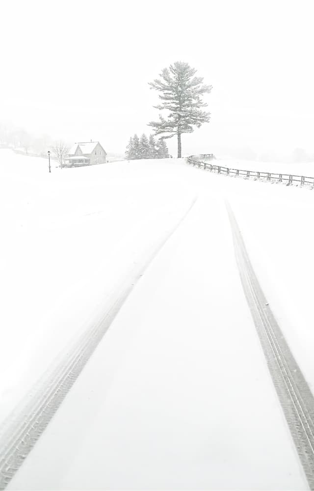 Snowy Country Road by Larry Deng APA — canvas wall art