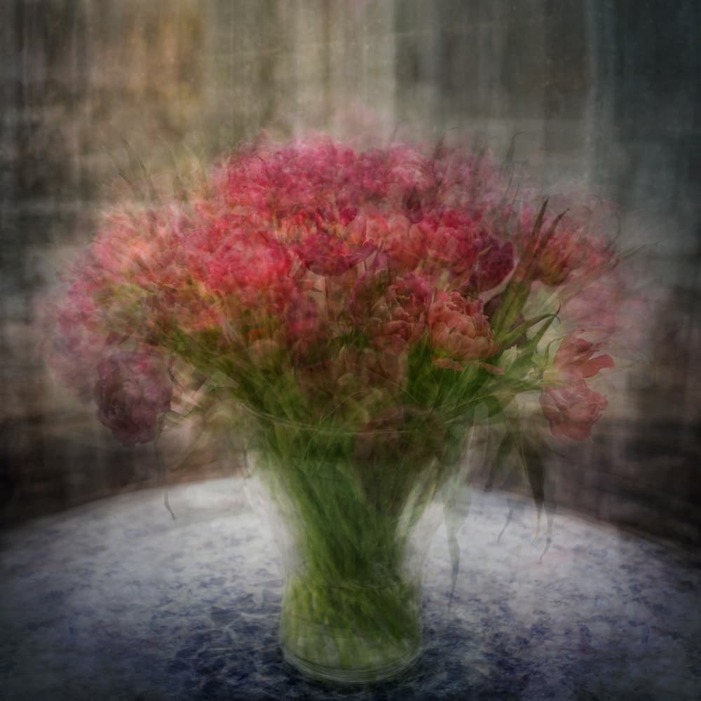 Dreamy Pink Flowers by Katarina Holmström — canvas wall art