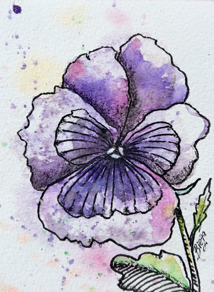 Watercolor Pansy Bloom by Anda Bieza — canvas wall art