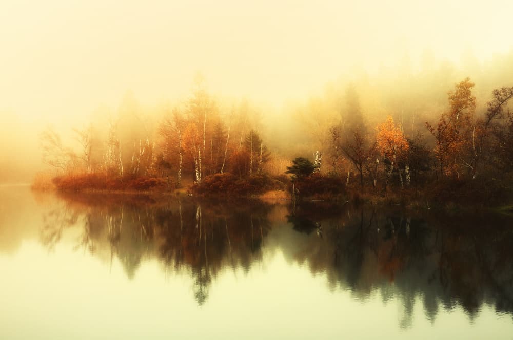 Misty Autumn Lake by Anton van Dongen — canvas wall art