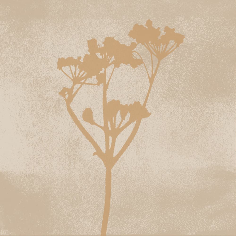Serene Botanical Silhouette by Dina Dankers — canvas wall art