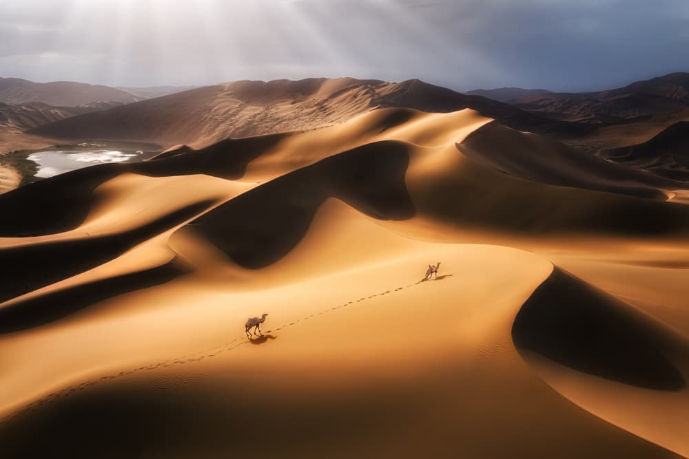 Sunlit Desert Journey by Yuan Cui — canvas wall art