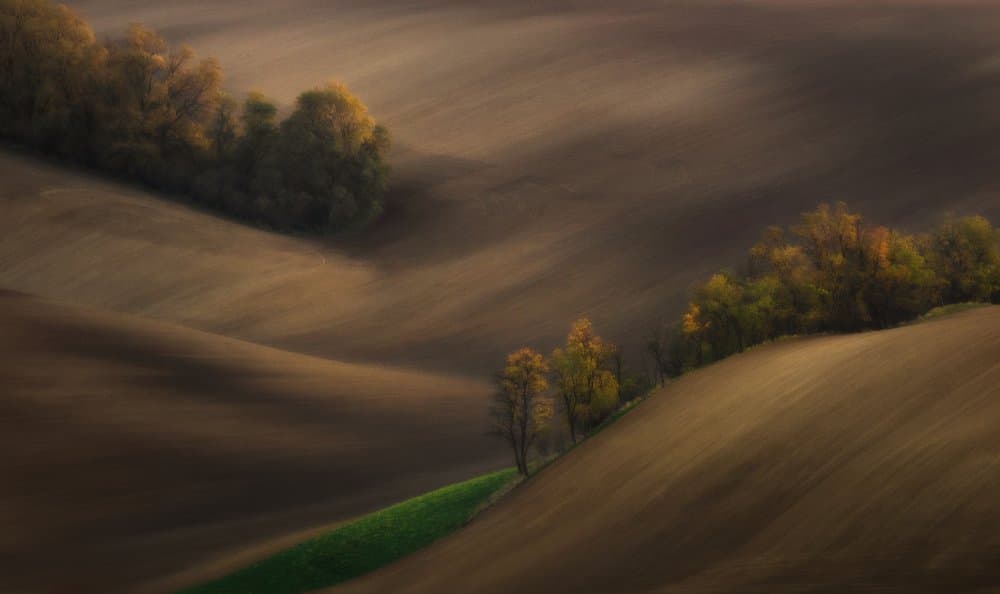 Rolling Autumn Fields by Ales Komovec — canvas wall art