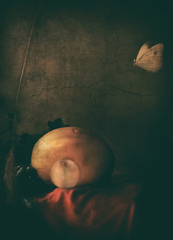 Moody Fruit and Butterfly by Delphine Devos — canvas wall art
